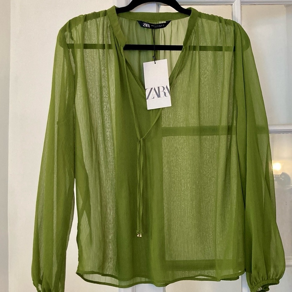 Zara Tie-Neck Sheer Chiffon Poet Sleeve Top w/Neck Ties